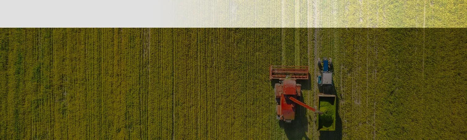 Agriculture