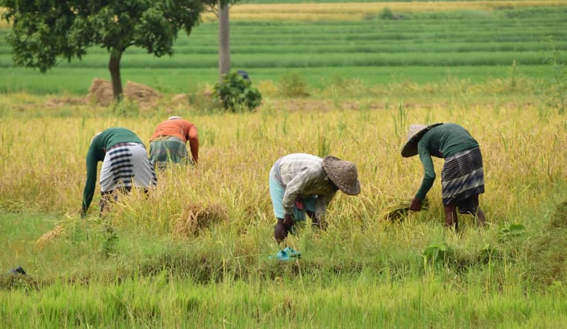 Agriculture Industry