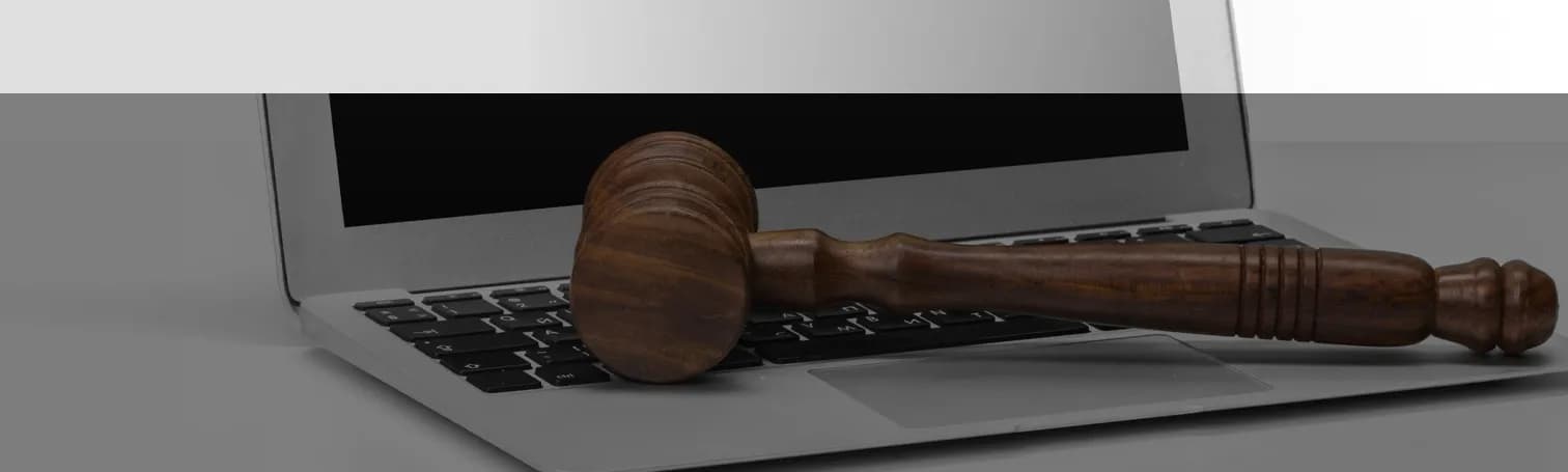 E-Governance and Public Sector